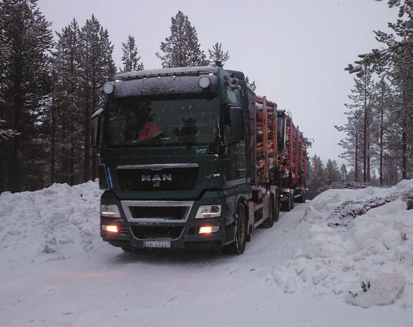 Tømmertransport i Pasvik. foto: ole andré hestmo skipes det ut mellom 800 1,2 mill tonn kvartsitt. Med et årlig uttak på ca 1 mill tonn vil Elkem kunne drive 20 år framover.