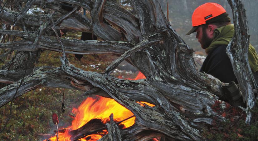 Utmarksforvaltningen er delt inn i følgende aktivitetsområder: l Innlandsfiske l Laksefiske i elv l Sjølaksefiske l Storviltjakt l Småviltjakt l Friluftstiltak Finnmarksloven legger føringer for