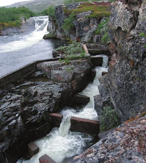 virksomhetsområder 900 800 Felte elg i Finnmark 1990-2014 700 600 500 400 300 200 100 0 1990 1991 1992 1993 1994 1995 1996 1997 1998 1999 2000 2001 2002 2003 2004 2005 2006 2007 2008 2009 2010 2011