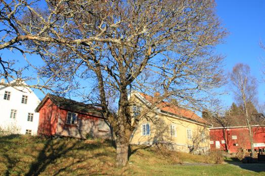 september: Vi besøker Granum Gård, der vi får en omvisning på gården og får høre stedets historie.