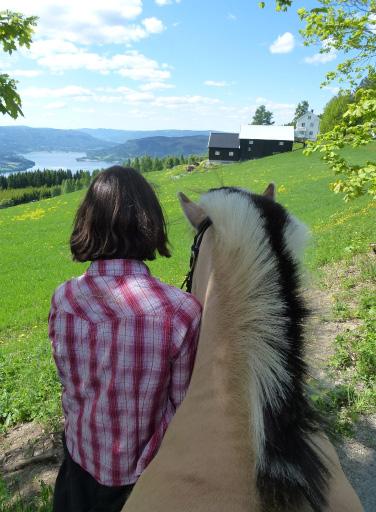 Hvis noen trenger skyss eller er usikre på vegen kan dere ringe til Marit tlf. 95002503 Tirsdag 11.