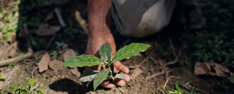 Sigfredo Benítez, kaffebonde og leder av kooperativet Los Pinos, El Salvador Klimaendringene truer matproduksjon Det er ventet at klimaendringene vil ha negativ innvirkning på jordbruk, matsikkerhet
