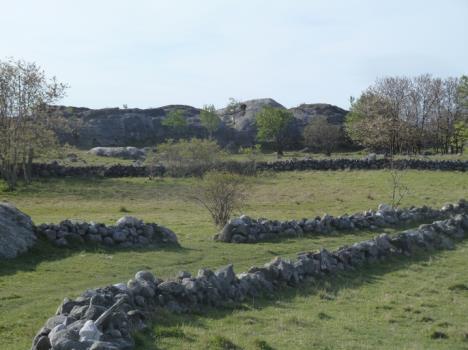 Begrenset konsekvensutredning Jomfruland nasjonalpark 18