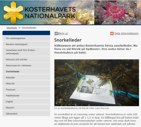 Begrenset konsekvensutredning Jomfruland nasjonalpark 48 Utenlandske nasjonalparker Kosterhavets nationalpark i Sverige og Thy nationalpark i Danmark rapporter begge om økt besøk etter at parkene ble