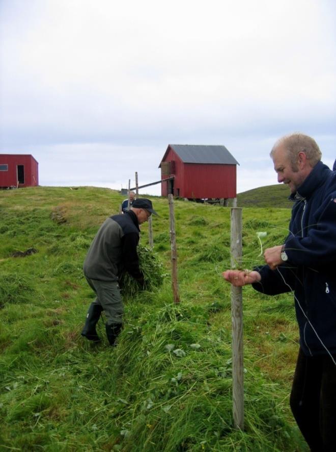 værhardt område nær Polarsirkelen, basert på den nå