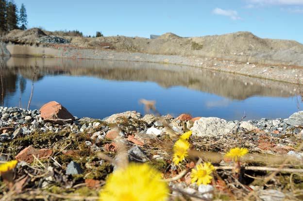 Avfallsdeponi Et av ROAFs hovedmål for Bøler avfallsdeponi er å opprettholde deponikapasitet for avfall som må ut av kretsløpet, i tillegg til at det også skal være et beredskapsdeponi for ROAFs