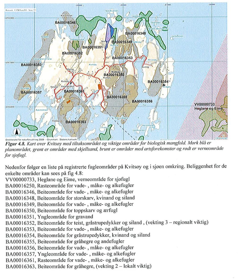 karplanteregisteringer. Statens Vegvesen gjorde i 2007 en rekke konsekvensanalyser inkludert en vurdering av naturmiljø i Kvitsøy i forbindelse med planlegging av ulike traseer for Rogfastprosjektet.