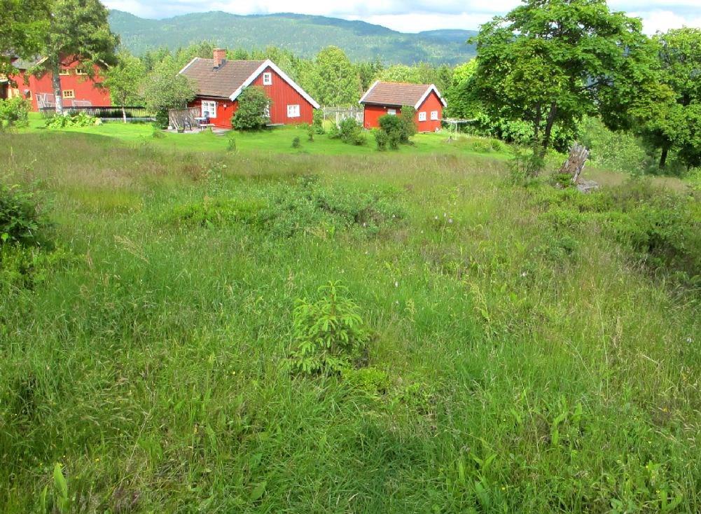 enten var husmannsplasser eller leilendingsplasser under Bogstad. Bogstad gård med med hageanlegg og omkringliggende plasser og kulturlandskap er fredet etter kulturminneloven.