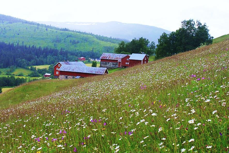 3.9 Kvelia Kvesjøen, Nord-Trøndelag Kvelia-Kvesjøen, Lierne kommune, Nord-Trøndelag Landskapstype Skogs- og fjellbygd med ekstensiv utmarksbruk Landskapsregion Jordbruksregion Areal 28 Skog- og