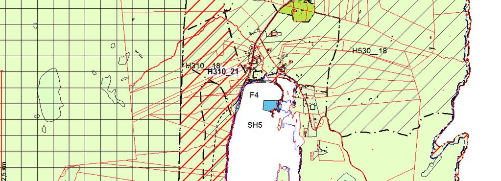 3.17 Pollen h46 SH5 ID Størrelse Forslagsstiller SH5 19,4 Småbåtfor. ID Foreslått formål Tidl. Miljø Naturres Samfunn m/ros Kon.