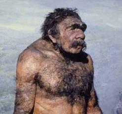 neandertaler