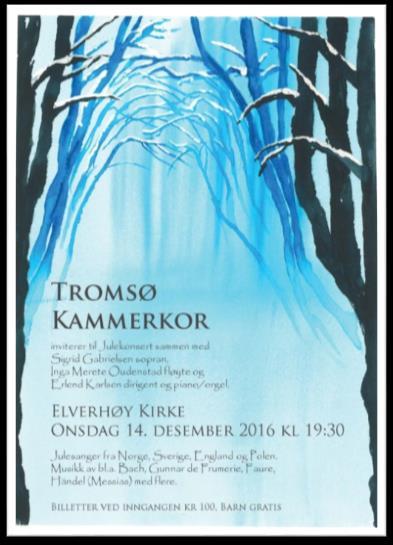 Tromsø Internasjonale Kirkefestival 2016 Salmefesten for barn og unge og barokkensemblet 4femten hadde konsert i Elverhøy kirke under kirkefestivalen. Tromsø kammerkor.