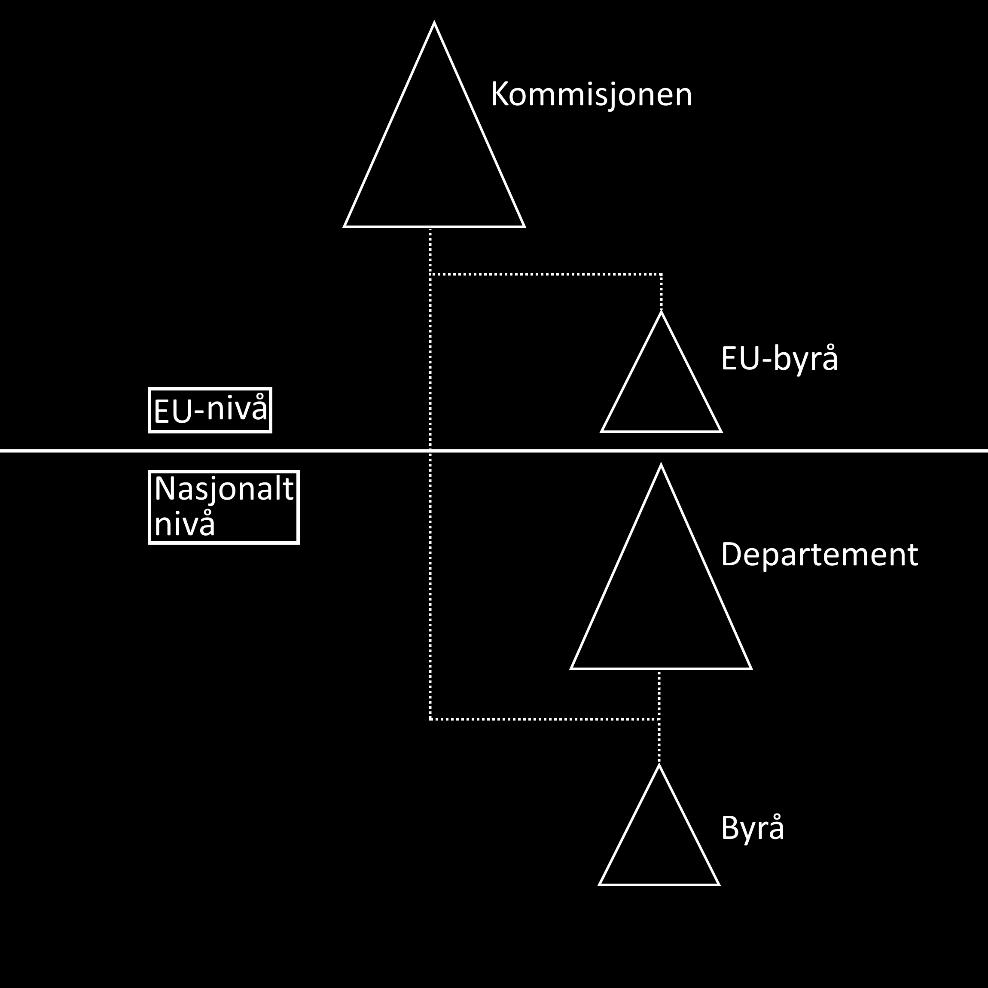 Dag Ole Teigen 15 nasjonale regjeringer, inntar deltagere i tilsvarende arbeid under Kommisjonen mer rendyrkede ekspertroller hvor de først og fremst er tro mot sine fagfelt og følgelig er mindre