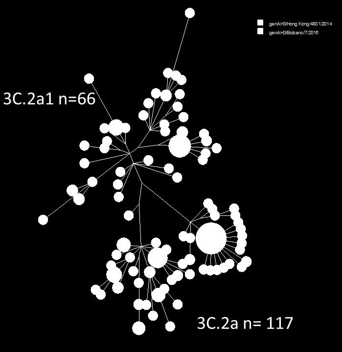 I Europa var det i hovedsak en undergruppe av A(H3N2)-virus, 3C.