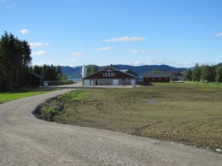 Nytt samdriftsfjøs på Setsaas Sau: Utviklinga i saueholdet er god for Selbu sin del, trass i store utfordringer med tap av dyr på beite.