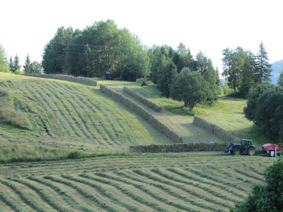 Begge pottene kommer fra Staten, men forvaltningen av dem, er altså todelt, selv om fylkesmannen også prioriterer hvor mye av den totale potten som skal gå til hver kommune til SMIL- midler.