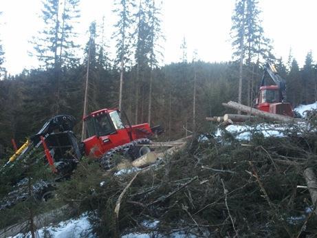 2.2.4 Skogkultur Med en årlig avvirkning på 45 000 m 3 vil dette samlet gi et avvirket areal på ca 3500 da. Disse arealene er dermed det årlige behovet som krever ungskogpleie i framtida.