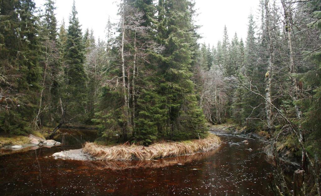 Mjøsund (utvidelse), Råbesdalen (utvidelse), Kolåsen, Finnsåsmarka (utvidelse), Folldalen