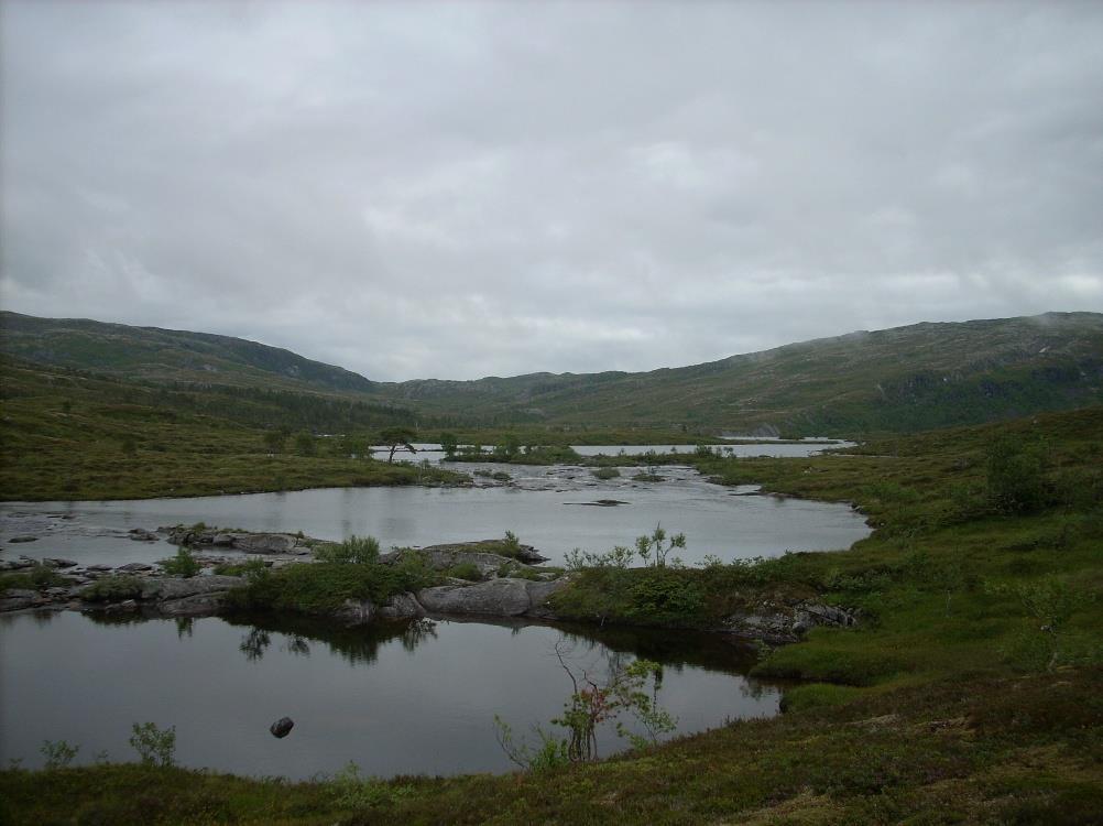En ekstra tømmerkoie inne på fjellet følger med (røff standard). Området omfatter fjellområdet rundt Terråk og et tyvetalls små og store fiskevann i uberørt natur.