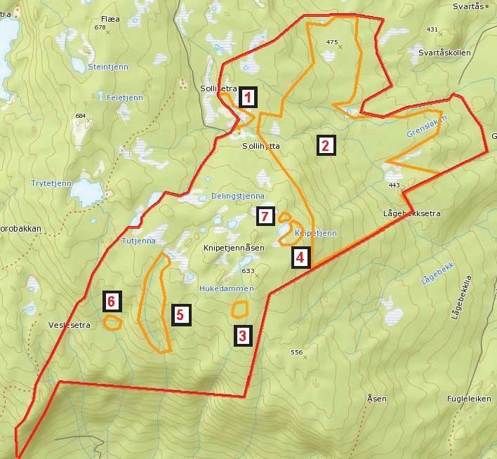 KART OVER KNIPETJENNÅSEN Figur 22.