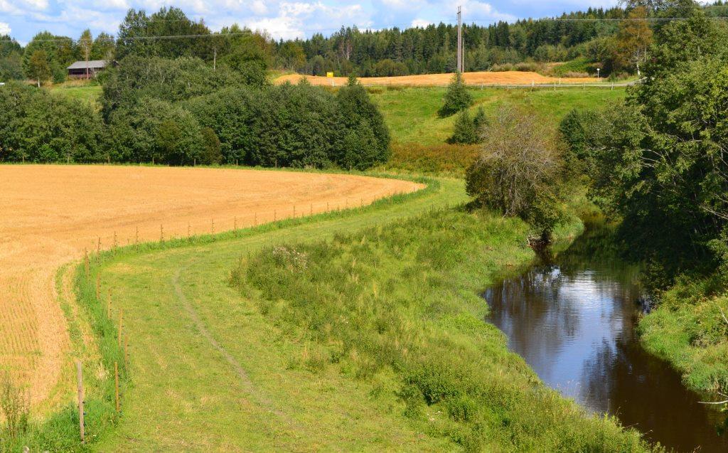 Renseeffekt Grasdekt vannvei: Effektivt, men mangler tall!