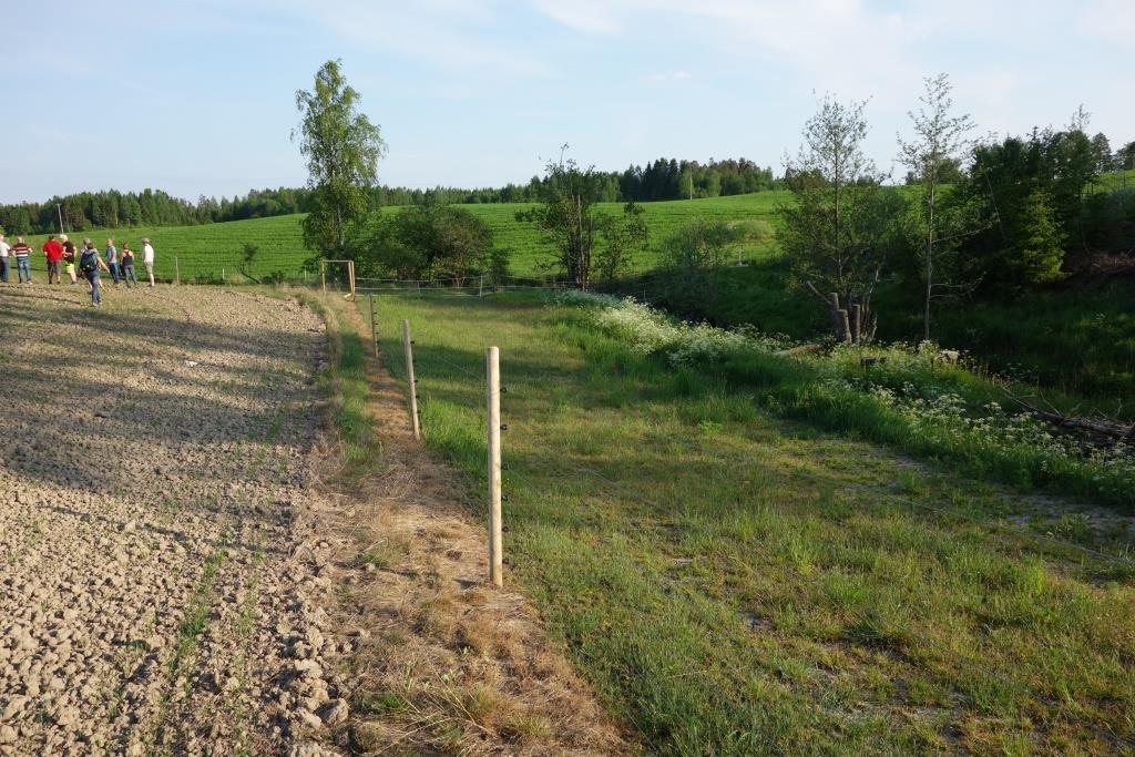 Bondens erfaringer og tilbakemeldinger: A-G Skjøtsel: Maskiner (har selv, innkjøp, lån av nabo, andre høster, beiting ok Kvalitet på, og bruk av gras brukbart og benyttet, ubrukbart grunnet mye slam,