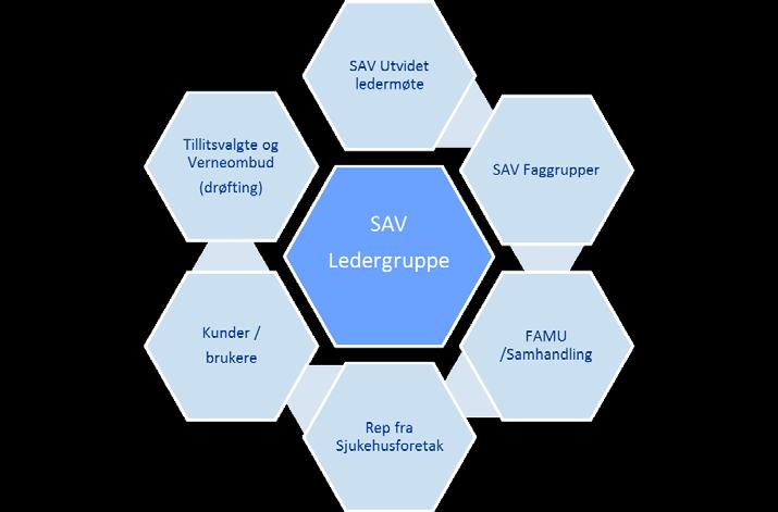 Arbeidet vert organisert både ved bruk av eksisterande møtefora og eigne arbeidsgrupper når det er naudsynt. Eksisterande møtefora i SAV som kan nyttast er vist i tabell under.