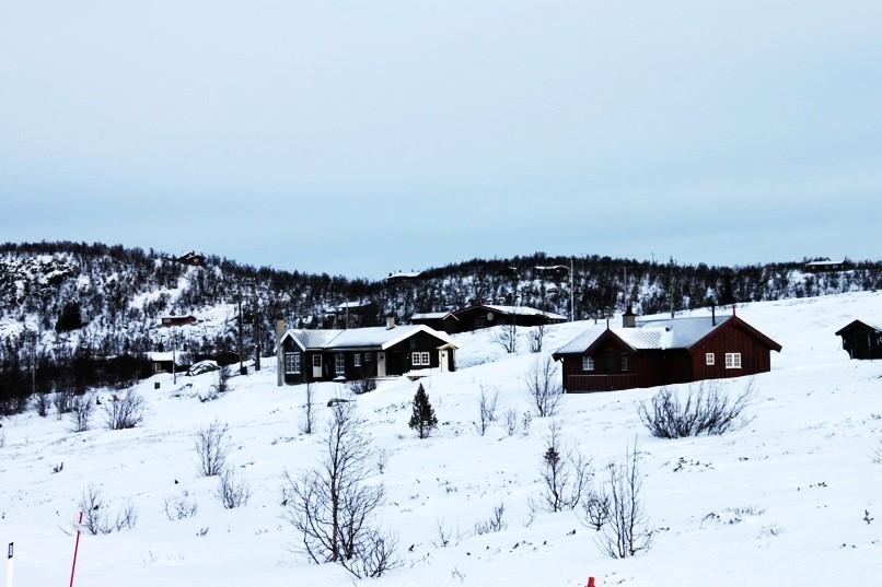 Kommuneplan for Nore og Uvdal samfunnsdelen Kommunedelplan for Dagalifjellet skal bygge på kommunens satsingsområder: Folkehelse og bolyst Oppvekst- og levevilkårene i Nore og Uvdal skal være så gode