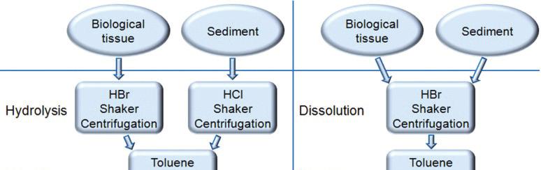 SIMPLE DETERMINATION OF METHYLMERCURY IN SEDIMENT AND BIOTA Berit Glomstad, Lojana Mohanathas, Karl Andreas Jensen, Solfrid Lohne, and Elin Gjengedal Norwegian University of Life Sciences, Dept.