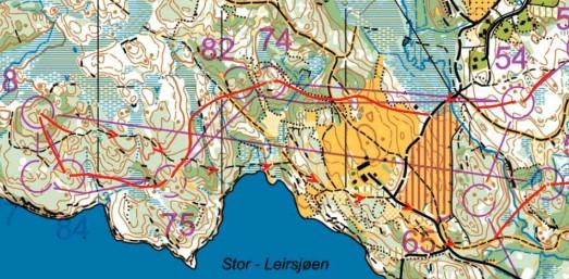 Stafett Mellomdistanseliknende løyper Rettferdig spredning, mulig å «komme i fra» de andre Like lange (tidsmessig) gaflinger Bruk et begrenset antall gaflingsvarianter Ugaflet siste del av