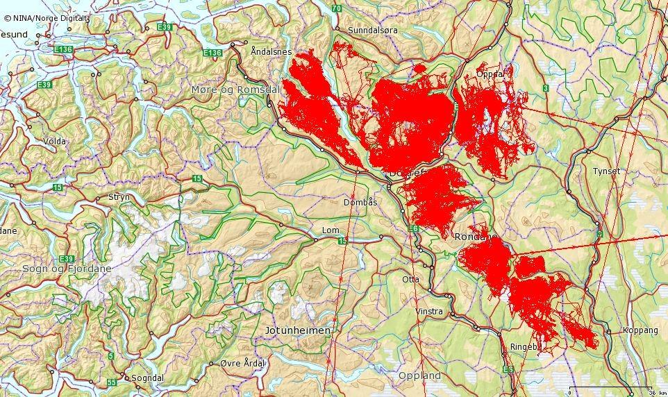 Dovre Rondane alle