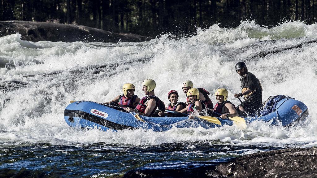 Vi byr på sol og sommer, spennende kamper, sosiale møtesteder og morsomme aktiviteter: Dyreparken og Badelandet, diskotek, cupshow,