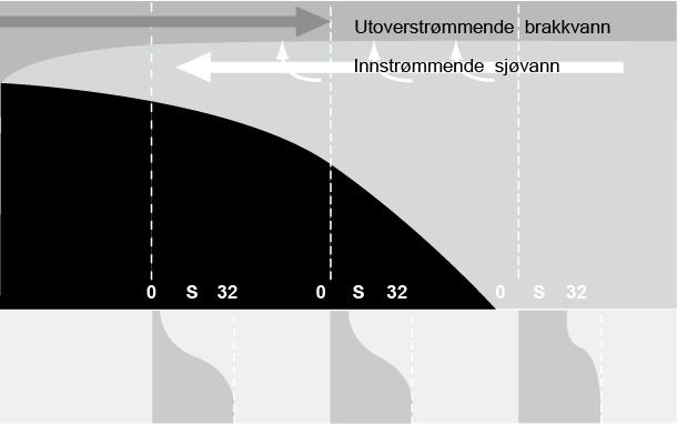 Avløpsvann Figur 2. Skjematisk bilde av strømforhold ved en elvemunning, og hvordan et utslipp kan plasseres for at avløpsvannet ikke kommer i kontakt med elvemunningen.