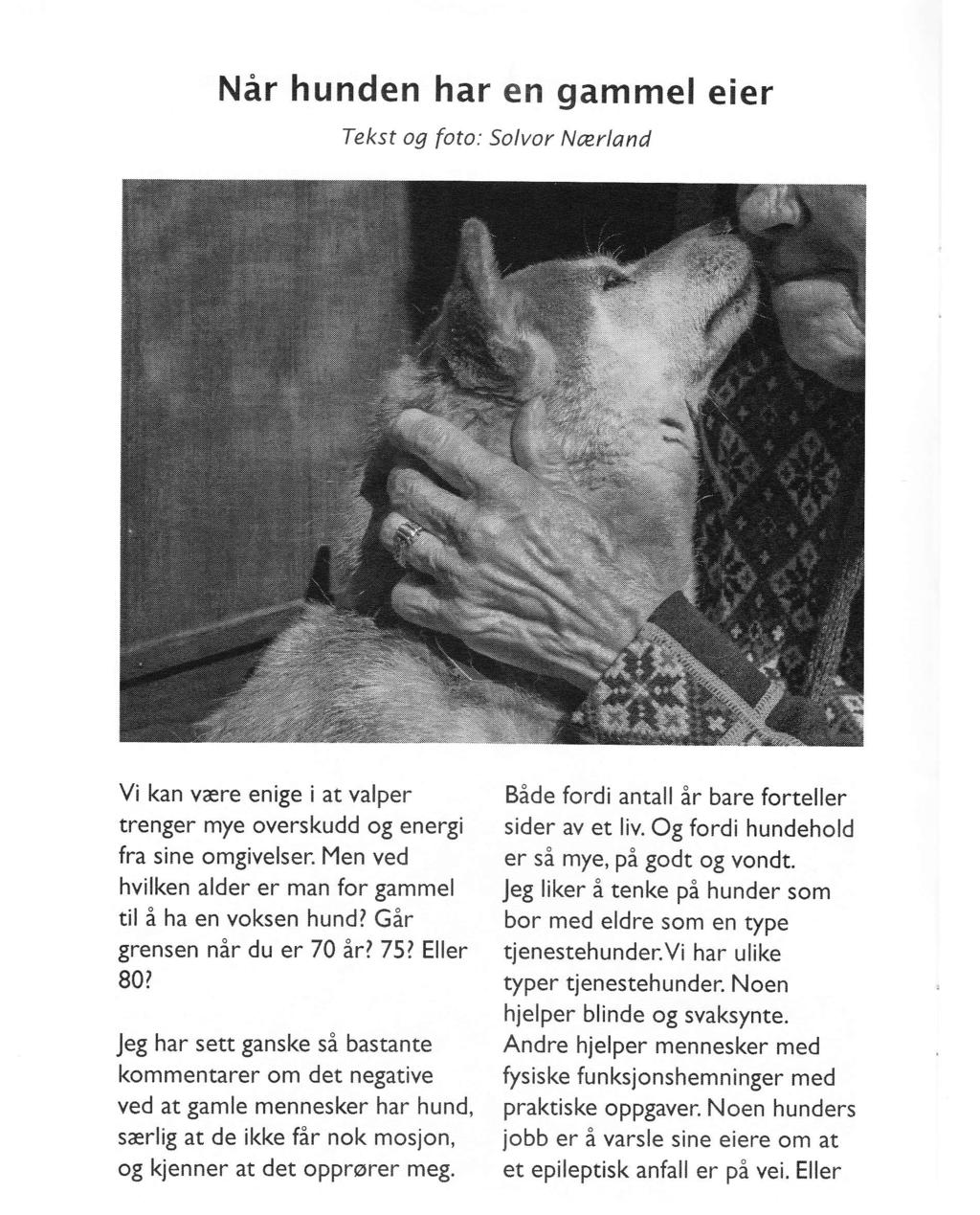 Når hunden har en gammel eier Tekst og foto: Solvor Nærland Vi kan være enige i at valper trenger mye overskudd og energi fra sine omgivelser.