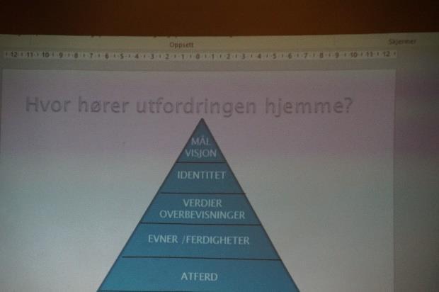 NTSS har hatt det faglige ansvaret for prosjektet, som har hatt samme arbeidsgruppe/referansegruppe som Regional rekrutterings- og kompetanseplan.