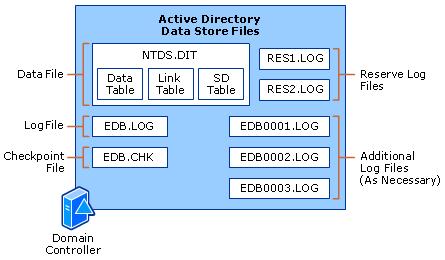 This file consists of three internal tables: the data table, link table, and security descriptor (SD) table.