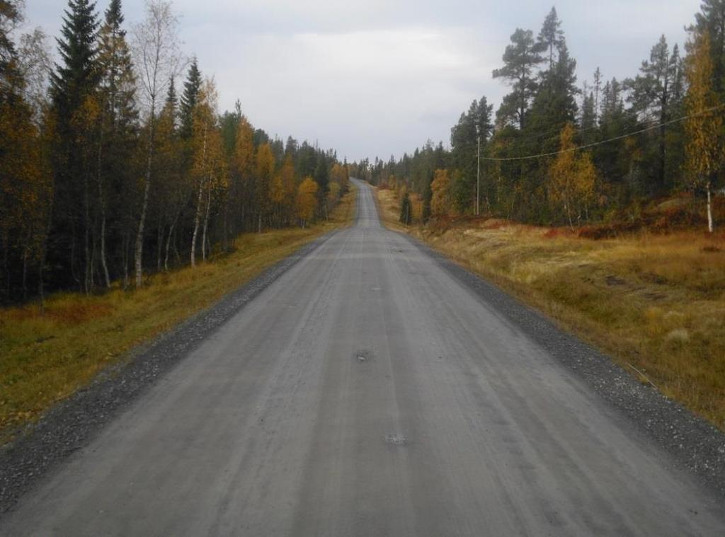 utsetter/begrenser skadeutviklingen være svært ulike; høytrykkspyling (friksjonsforbedring), fresing, forsegling, flatelapping, overflatebehandling, slamasfalt, tynndekker, drenering mm.