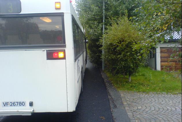 henger over vegbanen kan medføre sikt- og framkommelighetsproblem. Spesielt kan framkommelighetsproblemer oppstå om vinteren når det legger seg tung snø i trærne.