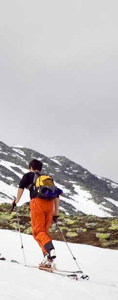 Ørnenipa (1333moh) OFF-PISTE Unike toppturmuligheter Ved siden av de ekstrem mulightene på selve Gaustatoppen er de mange fine renner innen stakeavstand i Vatnedalen.