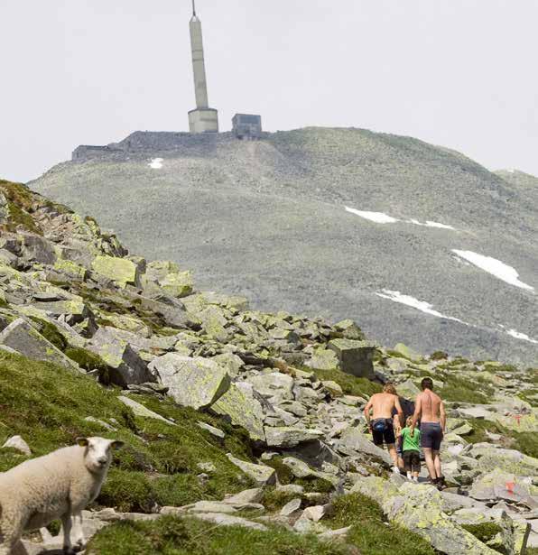 Fra Gaustatoppen har man Norges største utsikt, målt etter areal. Under ideelle forhold har en utsikt over et område på 60 000 km², noe som tilsvarer nesten en sjettedel av fastlands-norges areal.