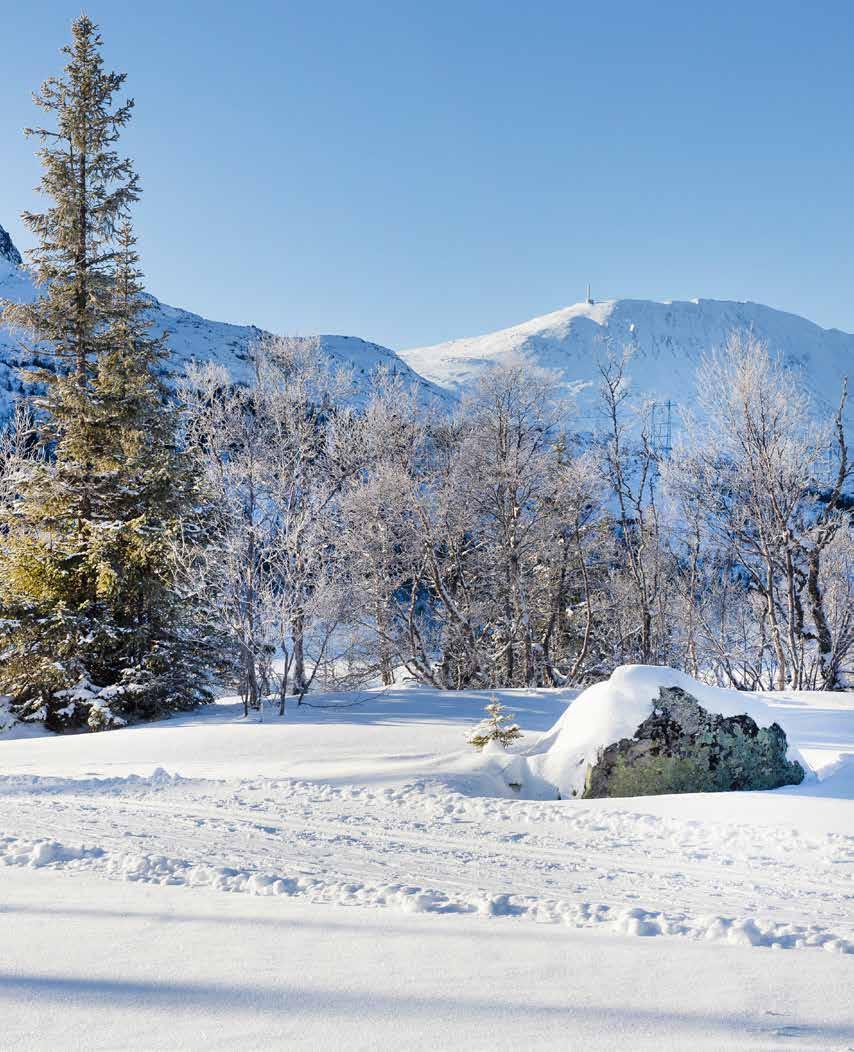 Den lykken du søker bak blånende fjell, kan