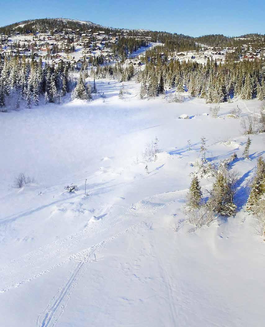 Skisporet går rett utenfor.