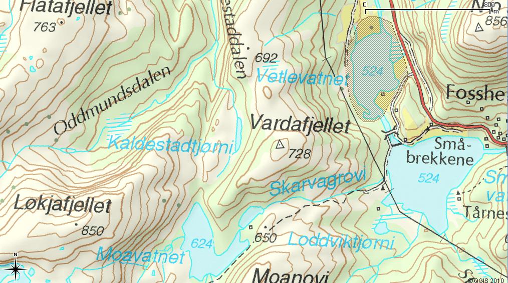 Figur 11. I Naturbase er Vetlevatnet avmarkert som rasteområde for krikkand og beiteområde for stokkand (kilde: Naturbase). 6.5 Verdifulle naturtyper i hht DN s håndbok nr.