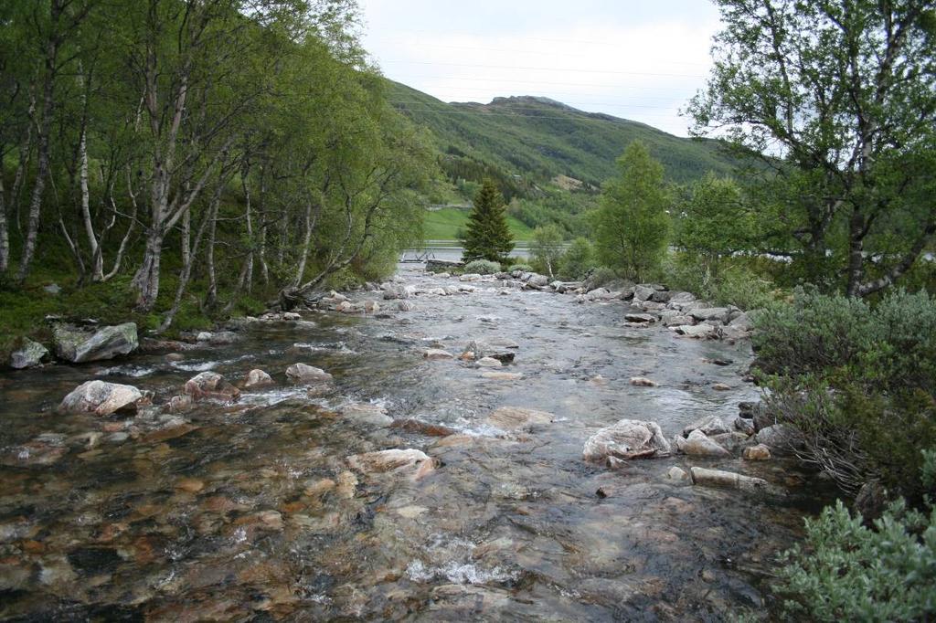 Figur 12. Det er bare i den helt nederste delen av Skarvagrovi som egner seg som gyteområde for fisk (ørret). 6.