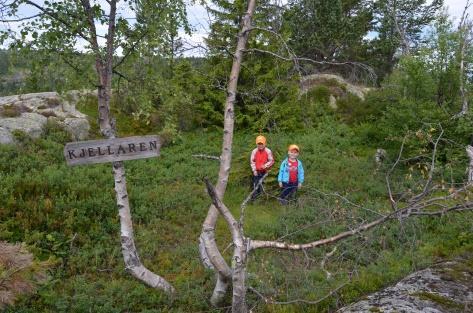 Himmelrike: : Parker ved Gautefall Skisenter og følg blåmerka løype på andre siden av fylkesveien inn til disse flotte svåfjella. Kan gåes som en rundløype eller frem og tilbake.