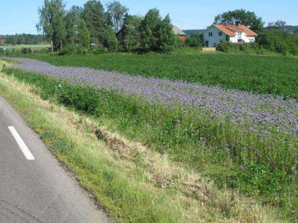 Heldigvis foregår det stadig ny