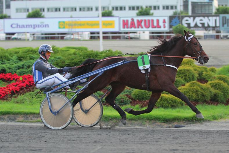 Kathrine Strand hadde to seirer med ight On Line og Alo Angel. Einar Nedrebø var kusk. Erga Jokeren fikk vist seg frem uten galopp og tok en meget enkel seier.