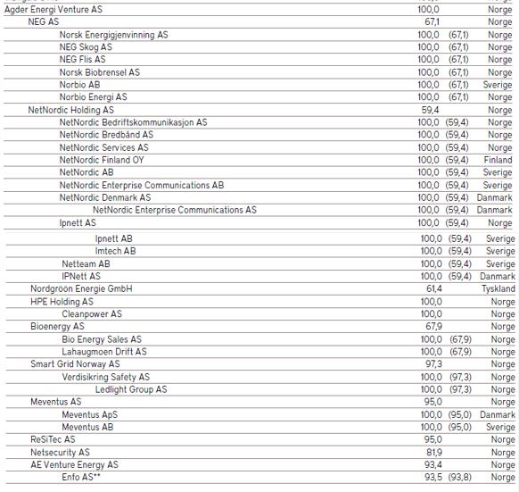 *Tall i parentes angir indirekte eierandel for Agder Energi AS i de selskaper hvor det er