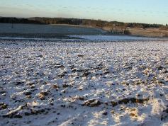 Radrensing Snitting 3 Utsatt såtid Harving «Kvik-Up» 4 Utsatt såtid Harving «Kvik-Up» Ugrasharving Ugrasharving Snitting