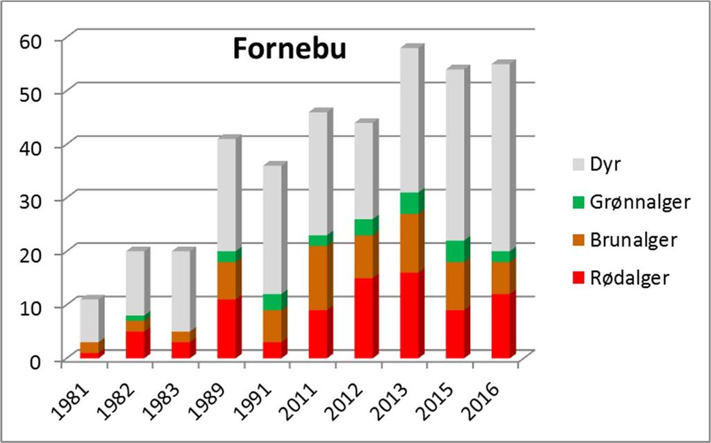 5.3.2.3 Stasjon 3 Fornebu Registeringer av antall arter og taxa (Figur 49) varierer noe fra år til år ved Fornebu.